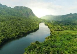 AdobeStock_190182089 (5) Fluß durch eine Waldlandschaft