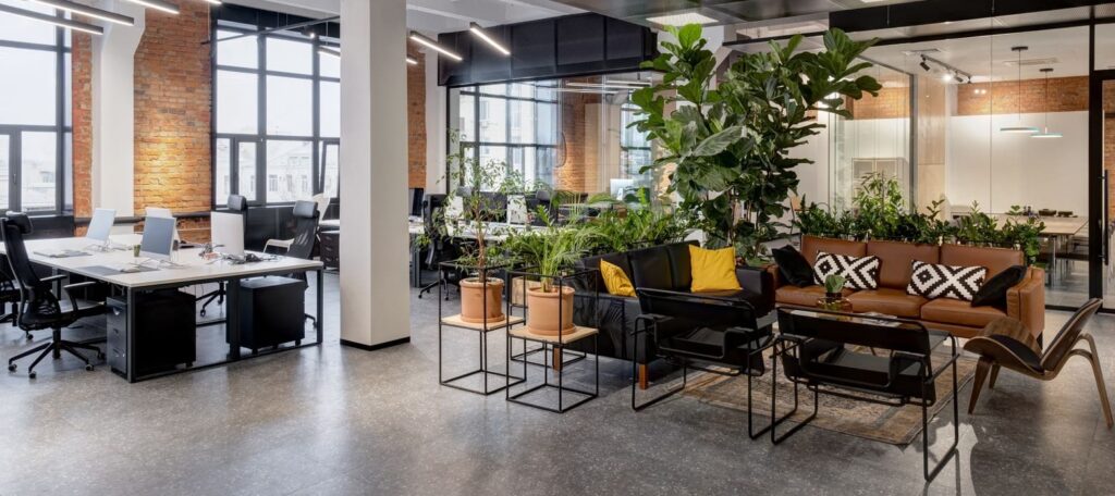 Gesundheitsförderlicher Arbeitsplatz im Mittelstand – modernes Büro mit Begrünung und Aufenthaltsbereich